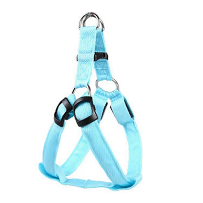 Harness USB Rechargeable