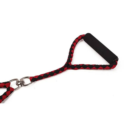 Training Double Dogs Leashes