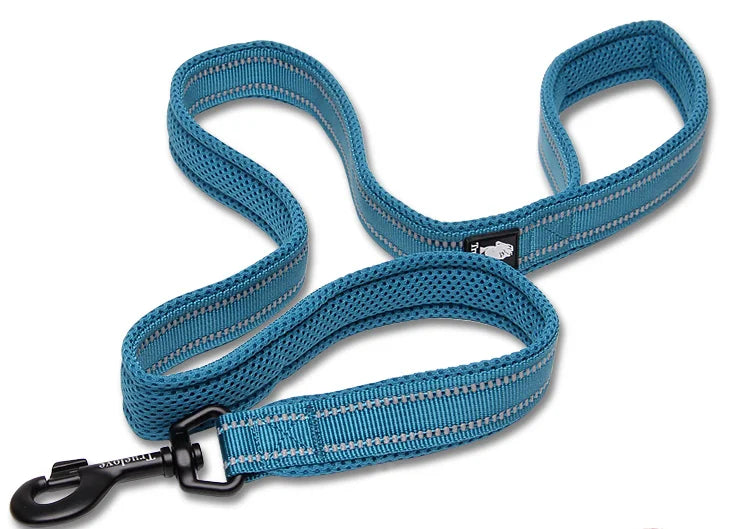Dog Leash with Padded Handle