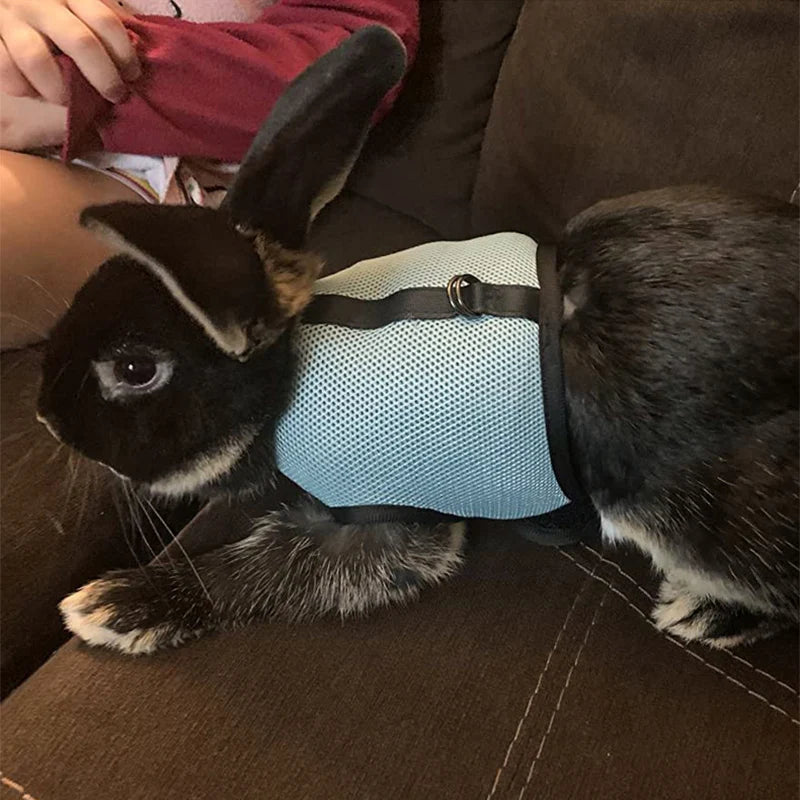 Small Mesh Harness/Leash