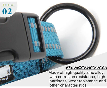 Dog Walking Collar