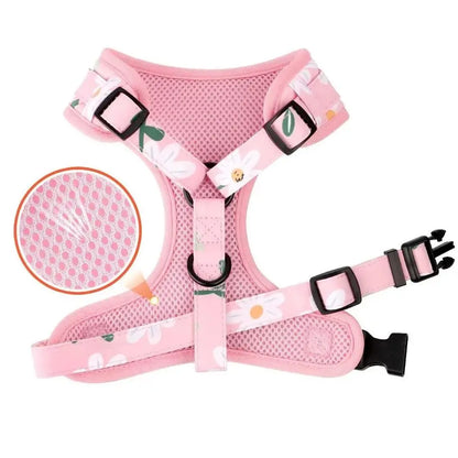 Harnesses and Leash Set