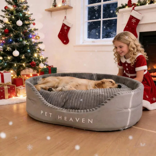 Super Soft Luxury Dog Bed