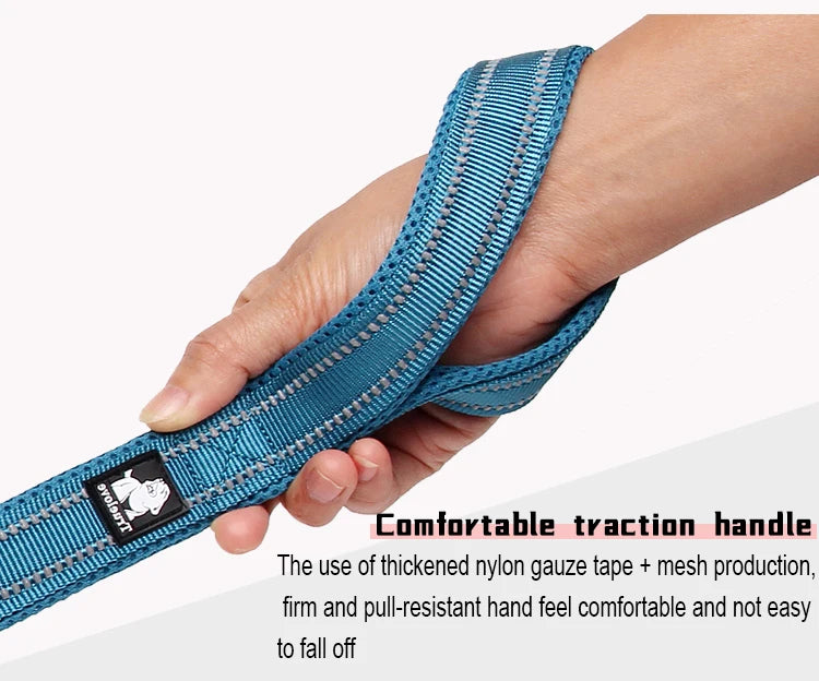 Dog Leash with Padded Handle
