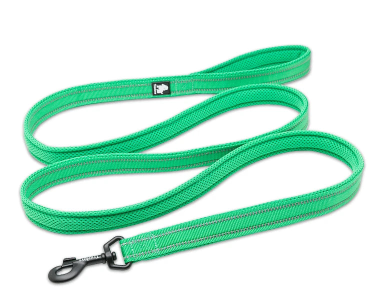 Dog Leash with Padded Handle