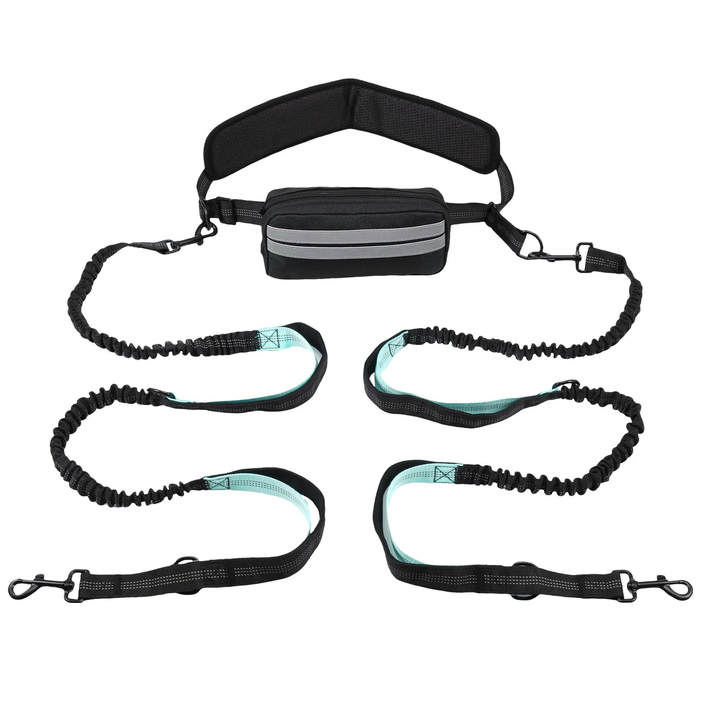 Hands Free Dog Leash