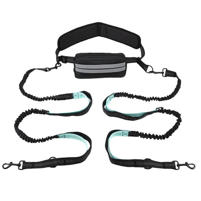 Hands Free Dog Leash