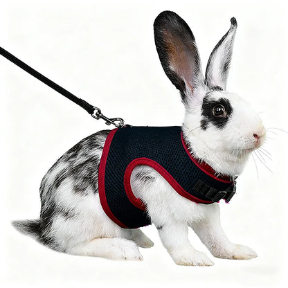Small Mesh Harness/Leash