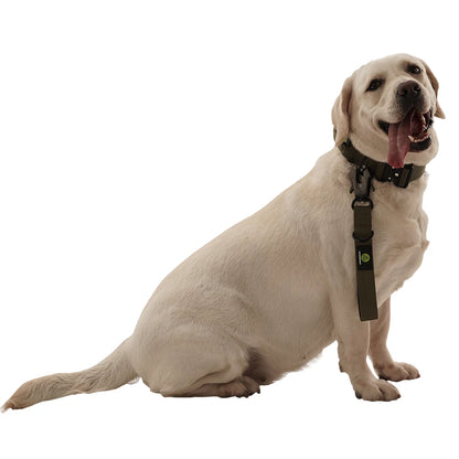 Heavy Duty Short Nylon Dog Leash