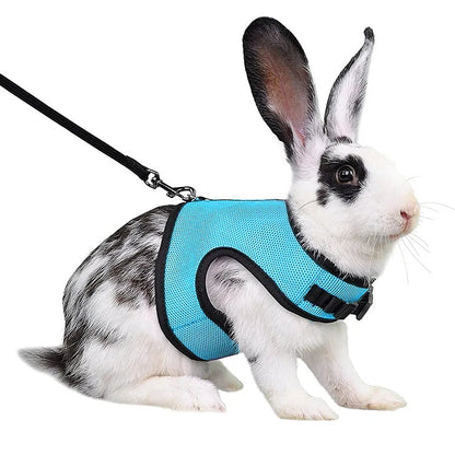Small Mesh Harness/Leash
