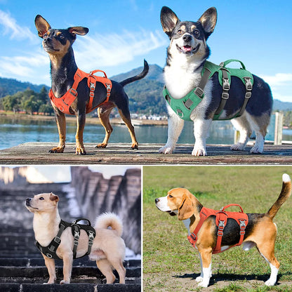 Reflective Pet Harnesses