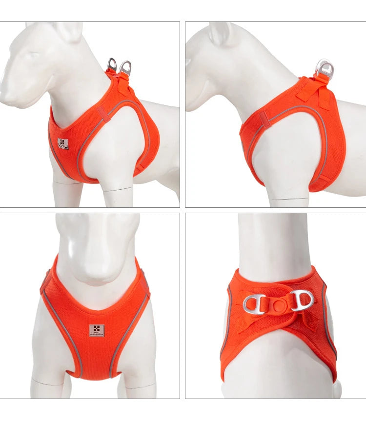 Dog Harness Leash Set