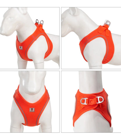 Dog Harness Leash Set
