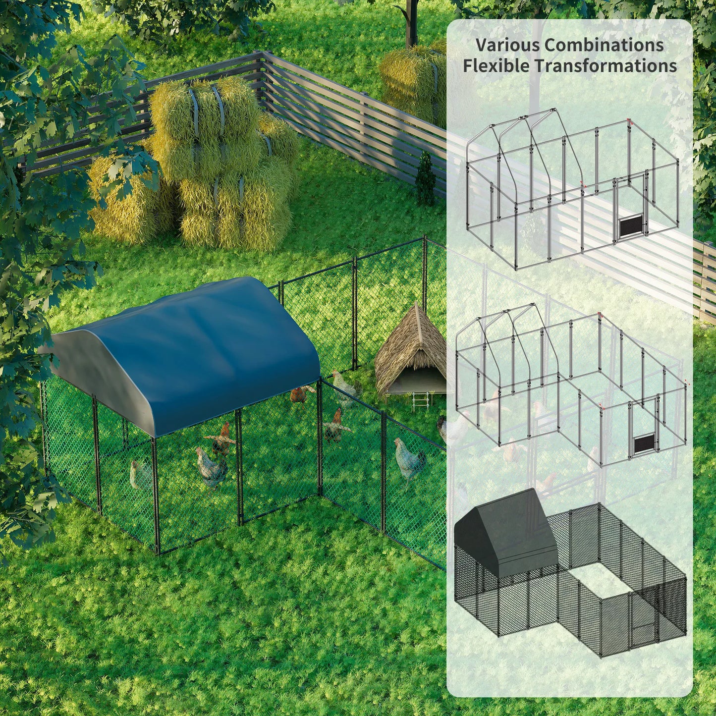 Chicken Coop