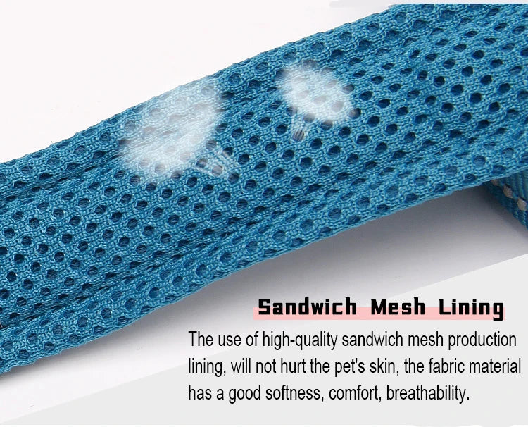 Dog Leash with Padded Handle