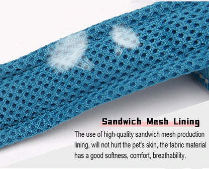 Dog Leash with Padded Handle