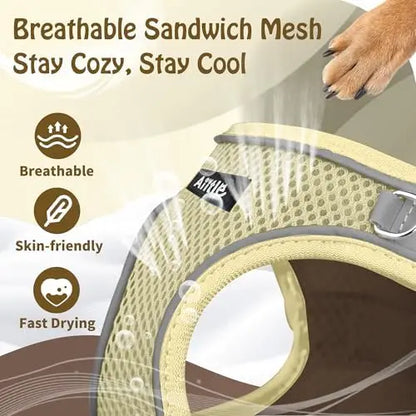 Adjustable Harness & Leash Set