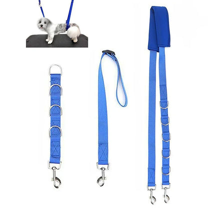 Harness Leads For Pet Grooming Table
