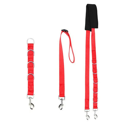 Harness Leads For Pet Grooming Table