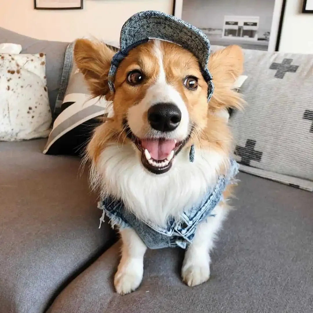 Pet Dog Jeans Jacket Denim Coats