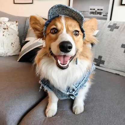 Pet Dog Jeans Jacket Denim Coats