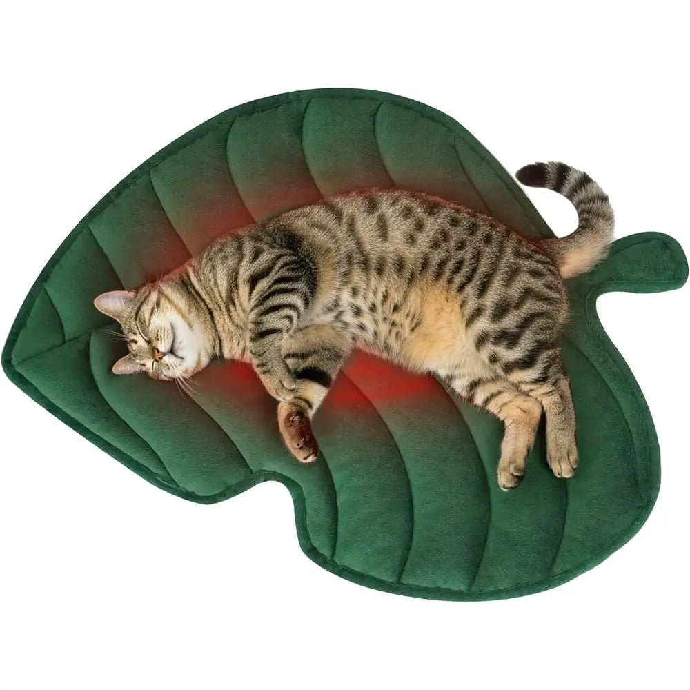 Thermal Dog Mat Cat Pad, Washable