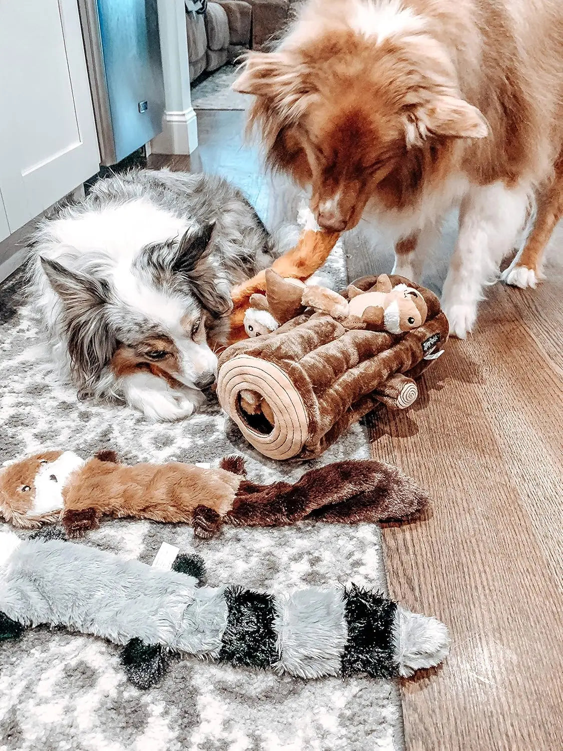 Squeaky No-Stuffing Dog Toy