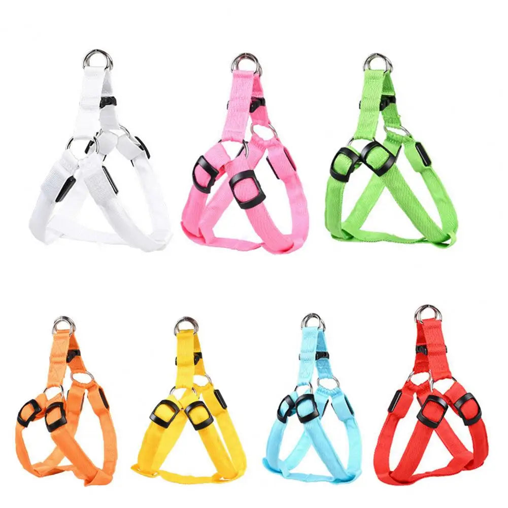 Harness USB Rechargeable