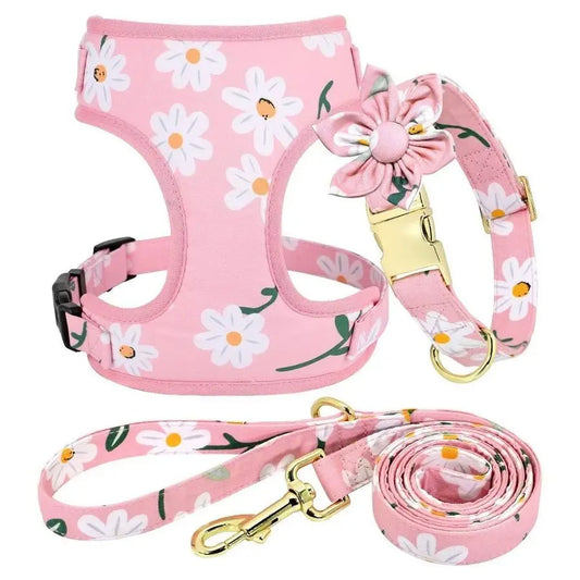 Harnesses and Leash Set