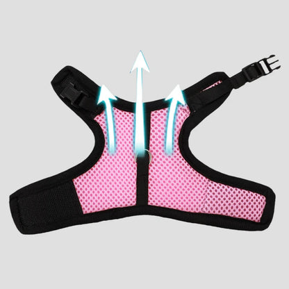 Small Mesh Harness/Leash