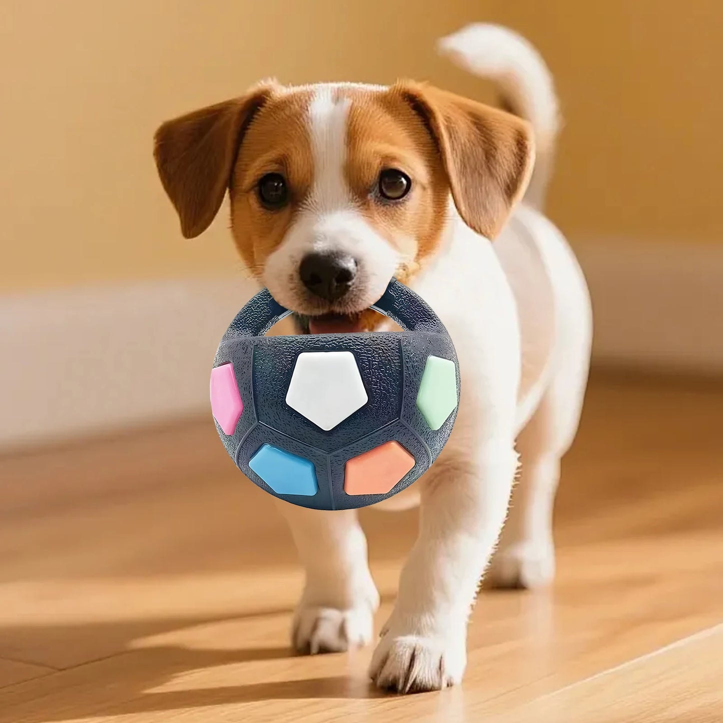 Dog Calming Ball