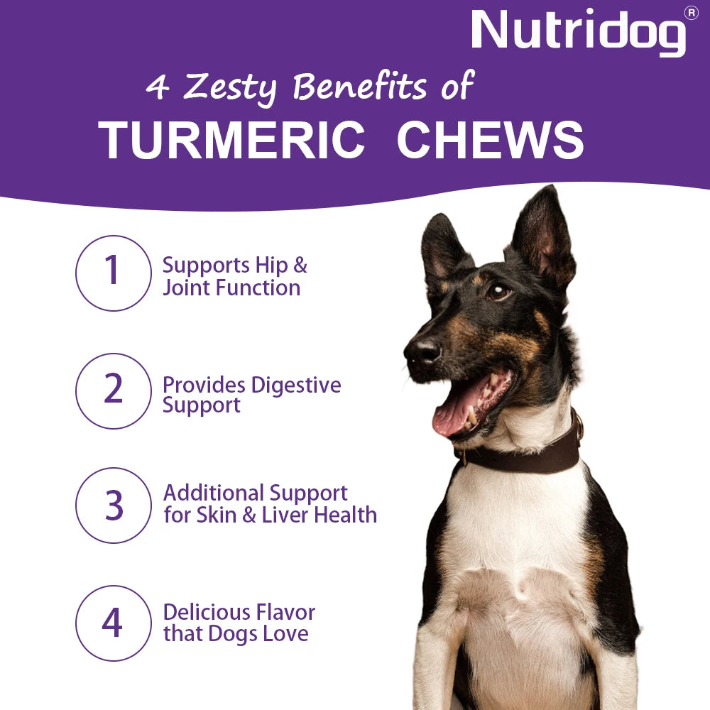 Turmeric Chews Anti-Inflammatory Joint Care