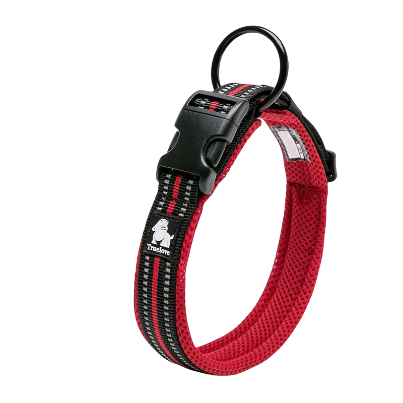 Dog Walking Collar