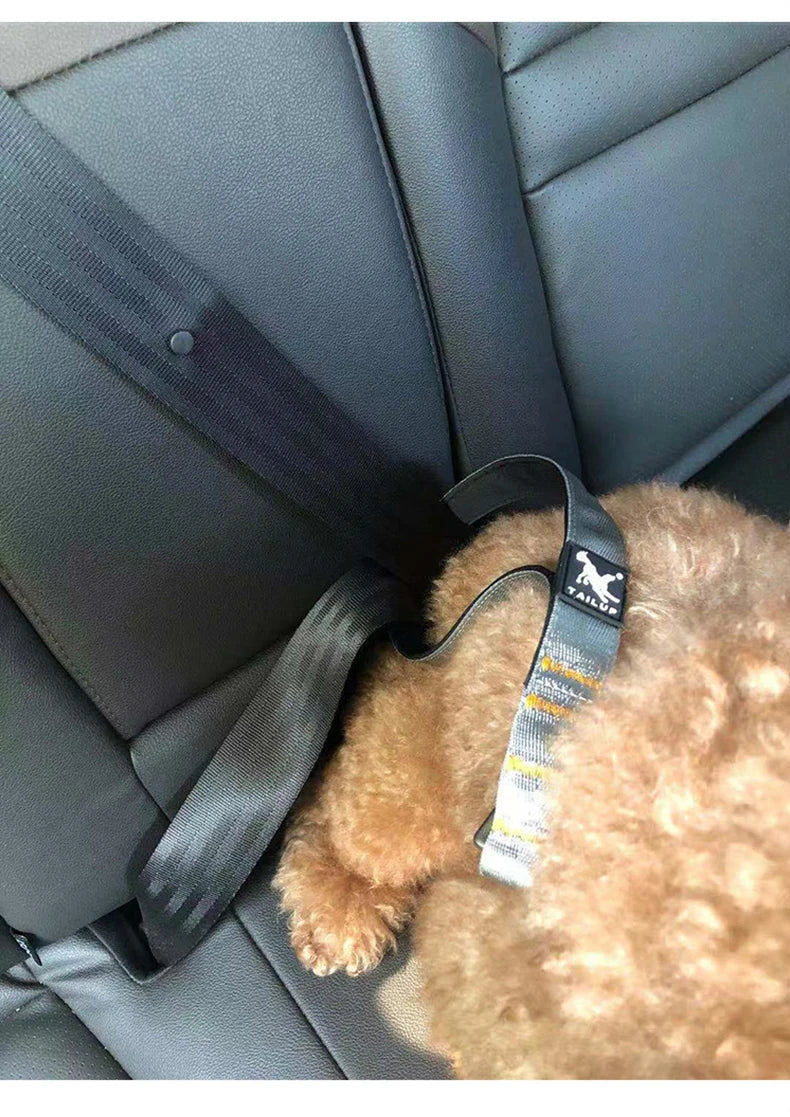 Durable Pet Leash