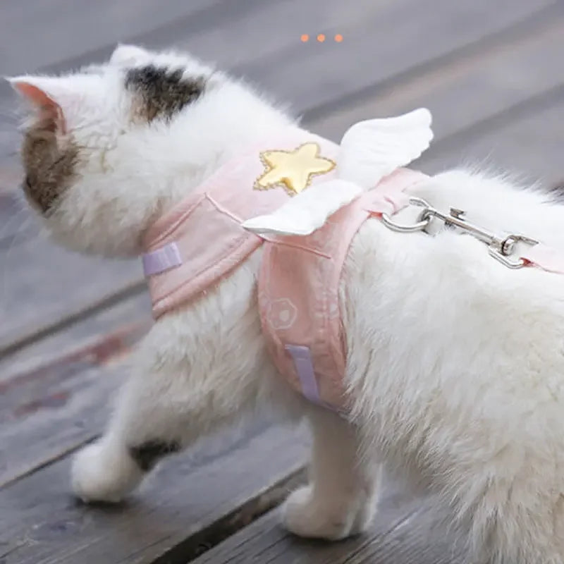 Angel Wing Vest Cat Dog Set