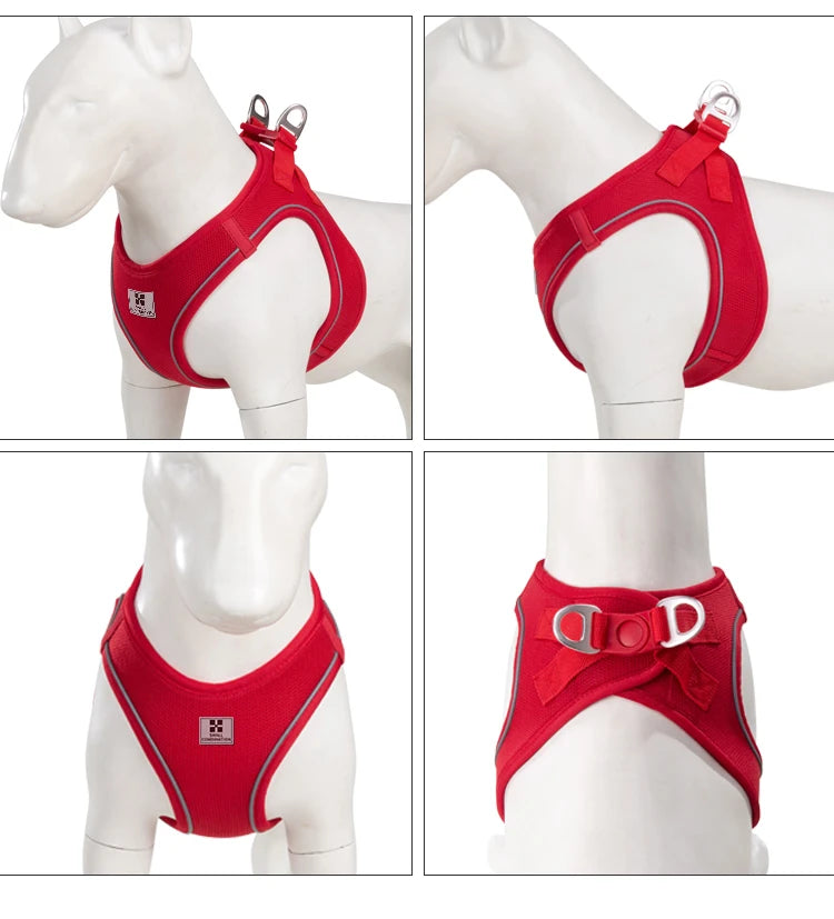 Dog Harness Leash Set