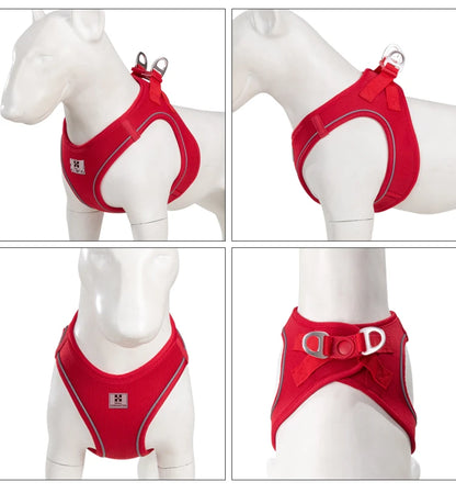 Dog Harness Leash Set