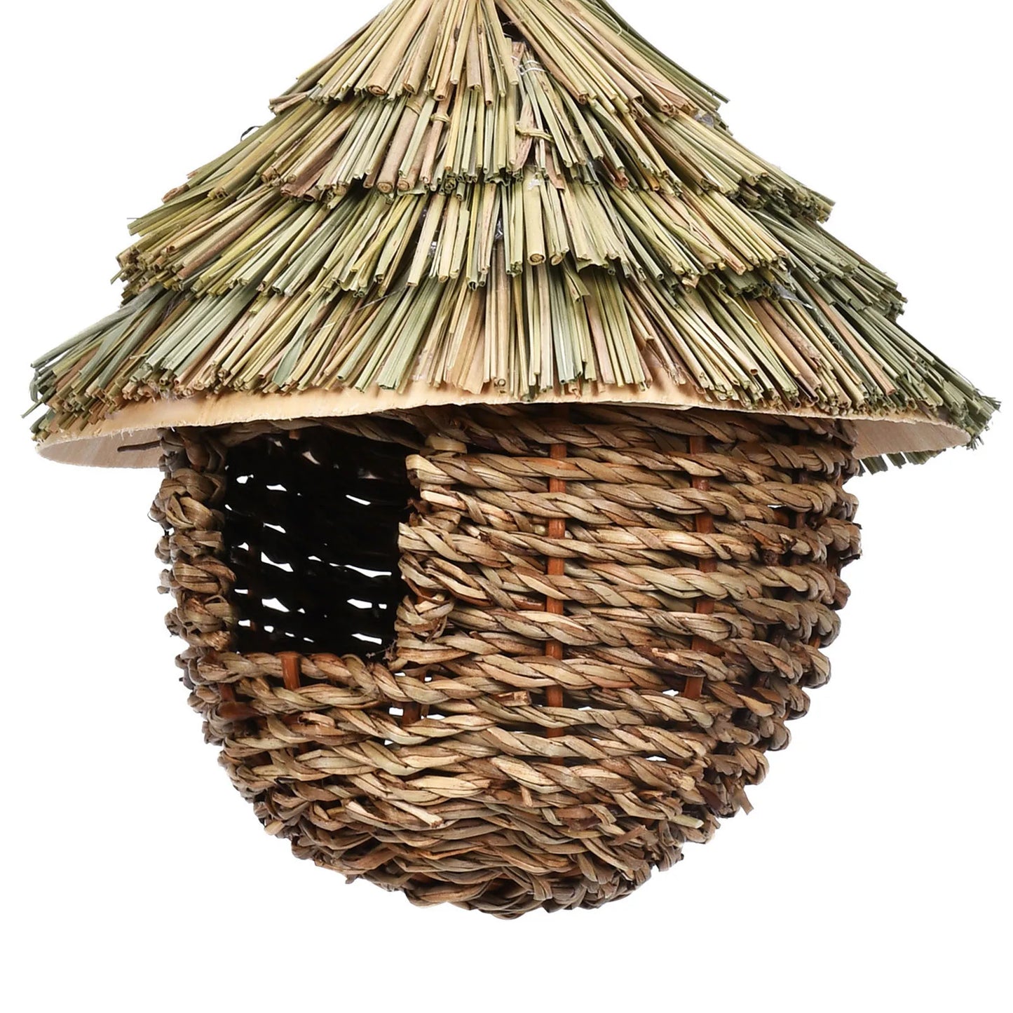Bird House Hummingbird Nests