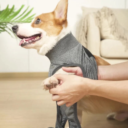 Recovery Suit for Dogs Cats After Surgery