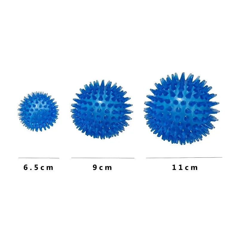 Pet Dog Squeaky Ball Toy