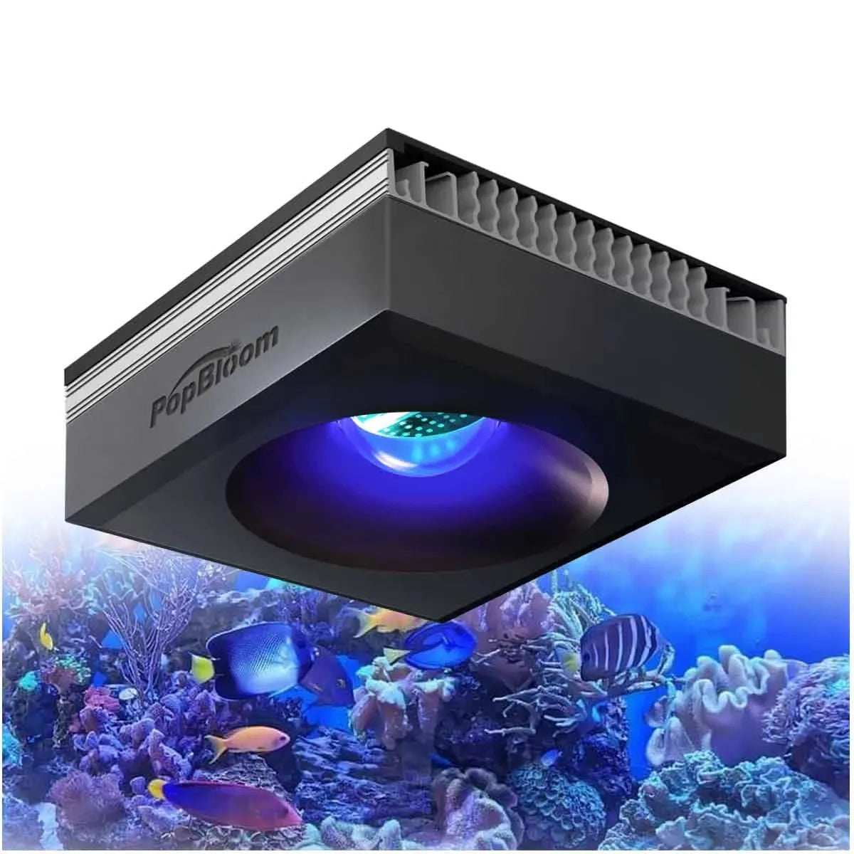 Wi Fi Reef Aquarium Light
