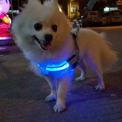 Harness USB Rechargeable