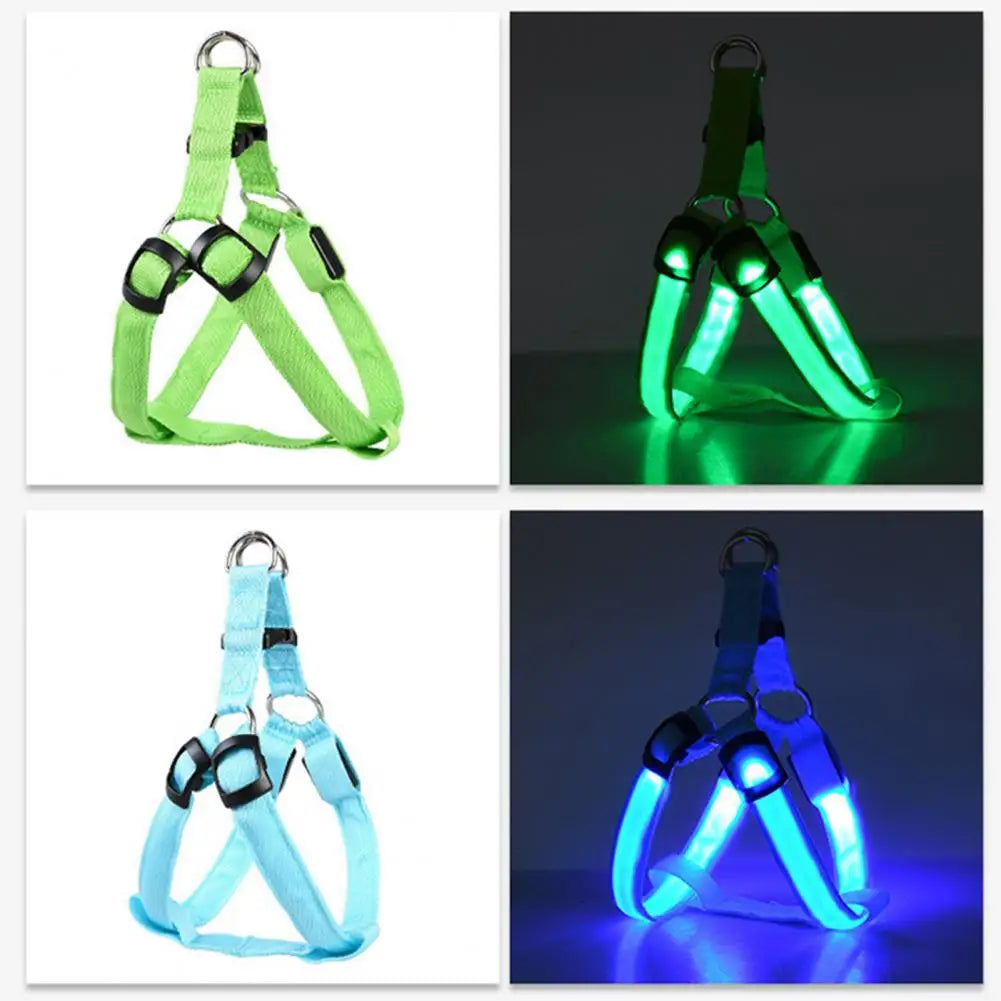 Harness USB Rechargeable
