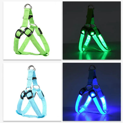 Harness USB Rechargeable