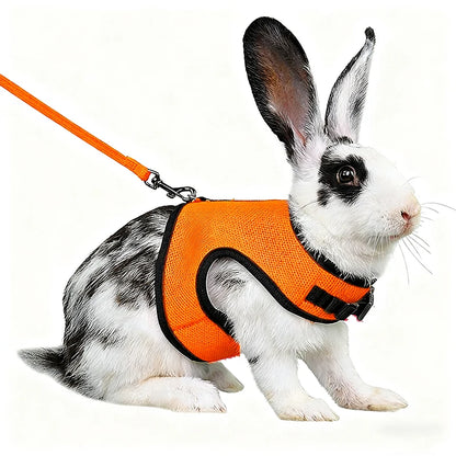 Small Mesh Harness/Leash