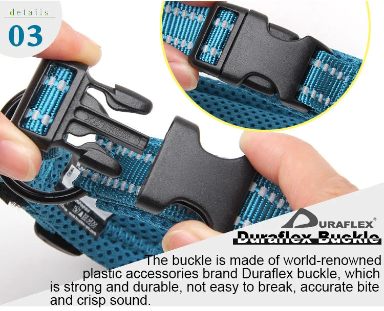 Dog Walking Collar