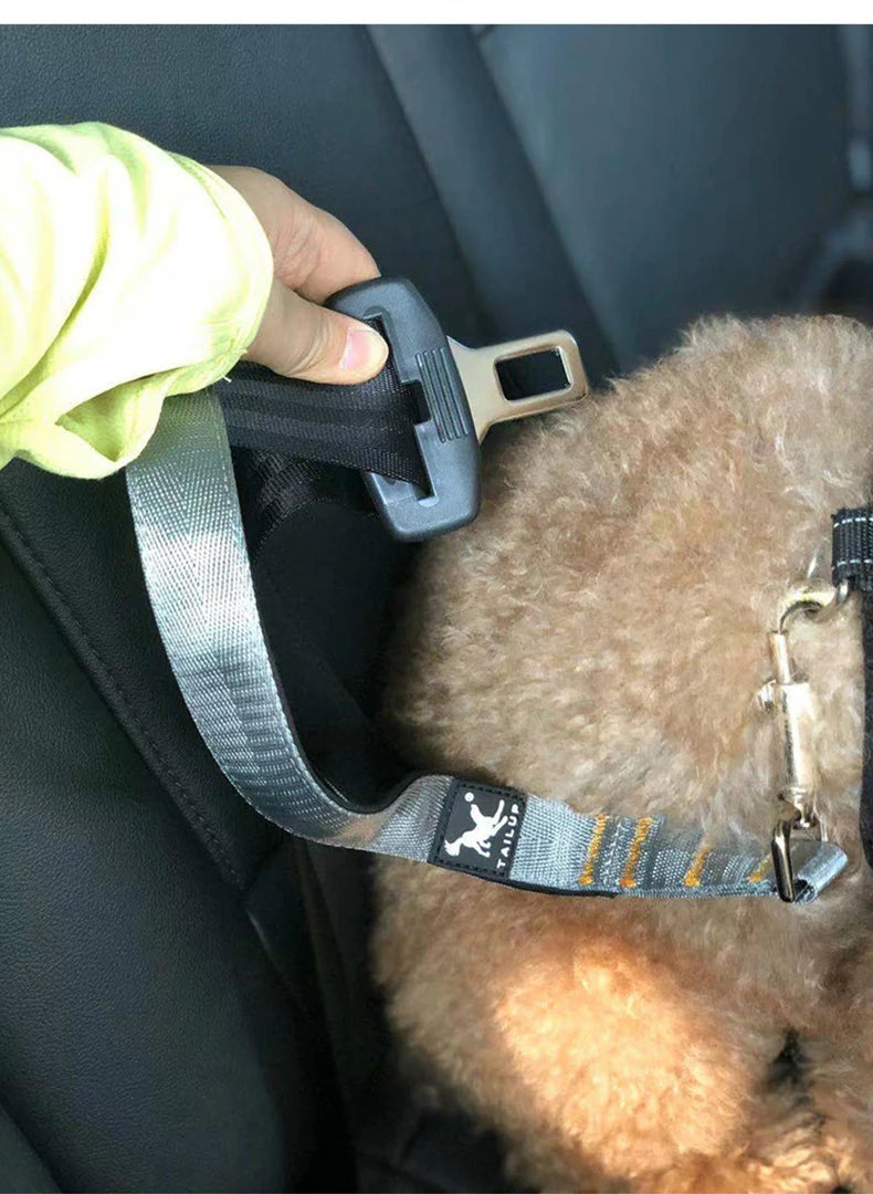 Durable Pet Leash