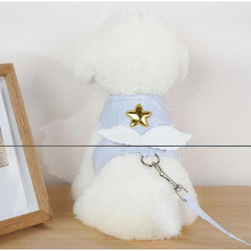 Angel Wing Vest Cat Dog Set