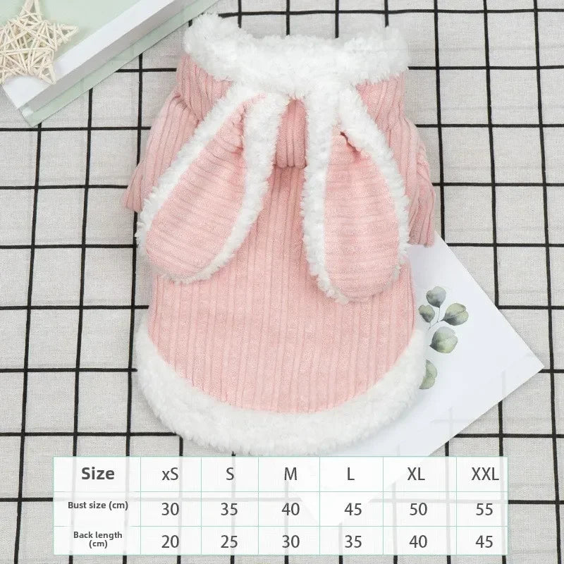 Pet Autumn and Winter Clothes