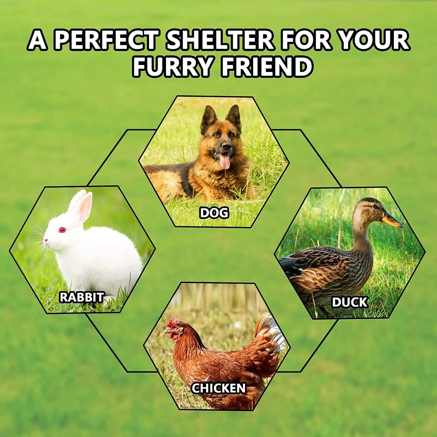 Large Galvanized Dog Kennel
